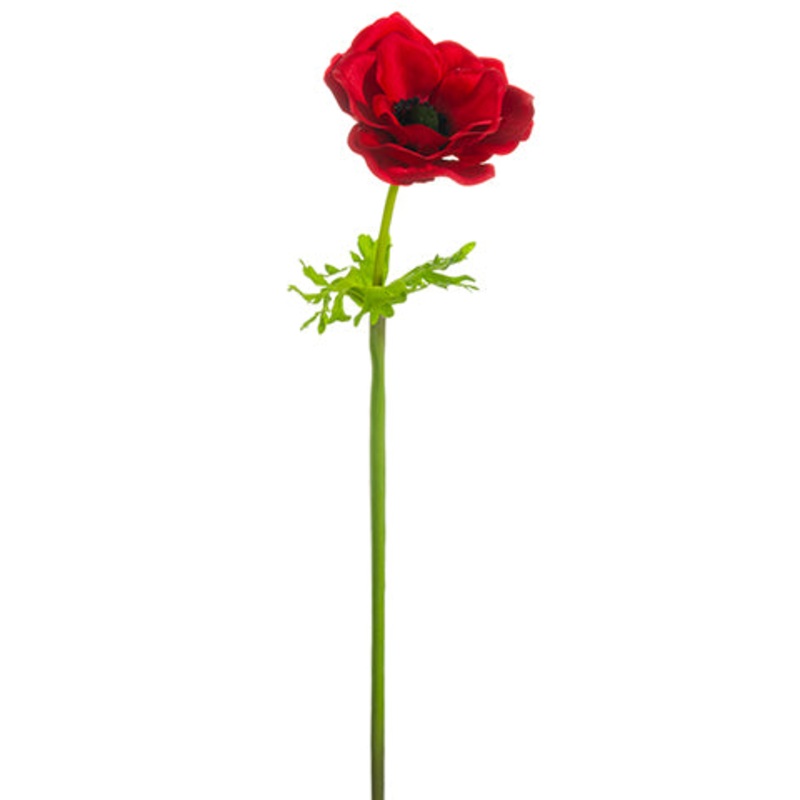 Anemone Stem Red
