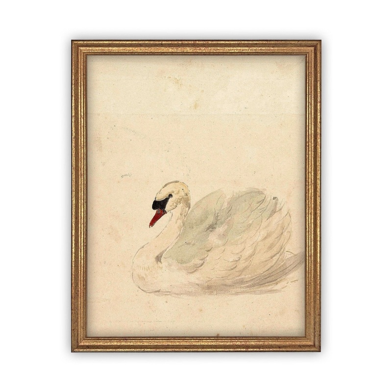 Faded Swan Vintage Art