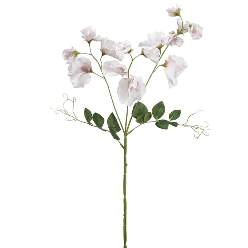 27″ Sweetpea Stem White