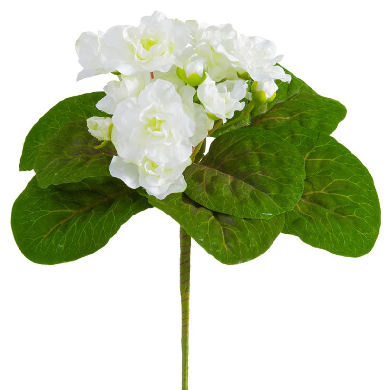 8″ African Violet Plant