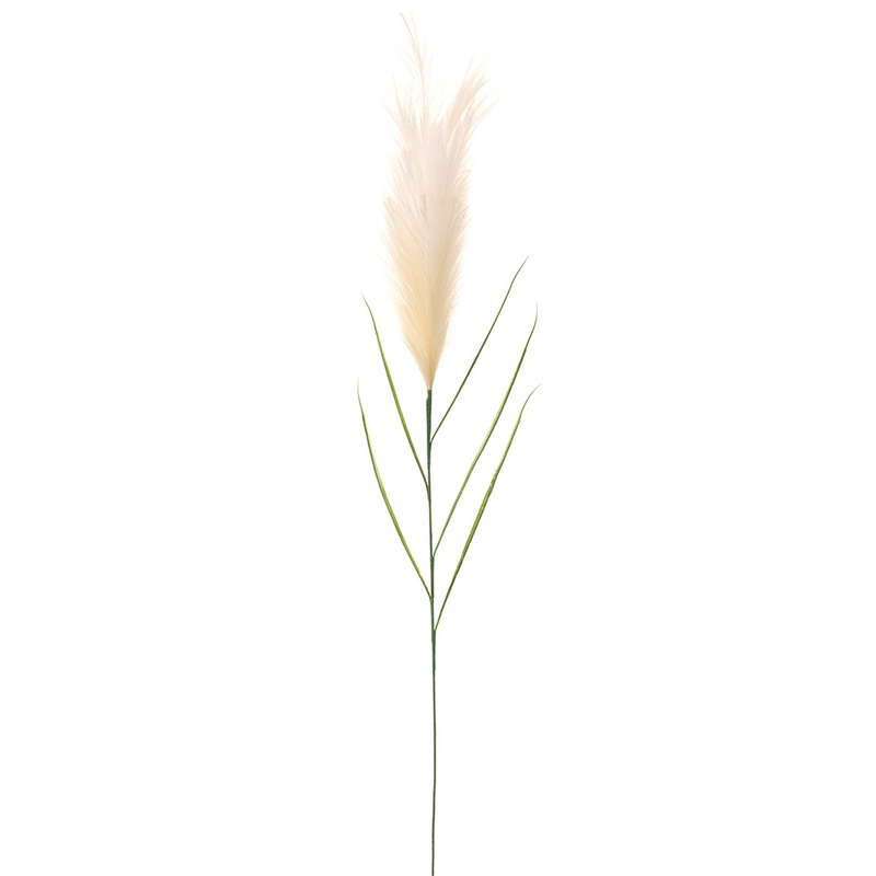 Pampas Grass Stem – Cream