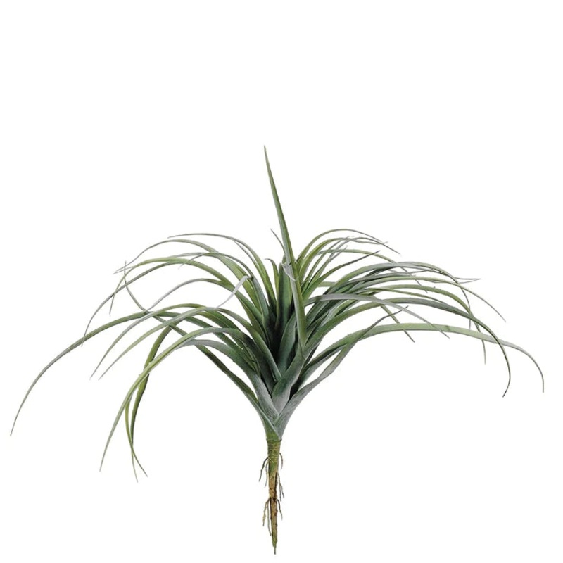 11″ Tillandsia  Green Gray