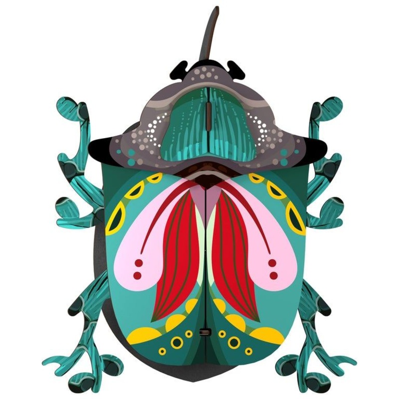 Wall Decorative Beetle ( Medium ) Paul