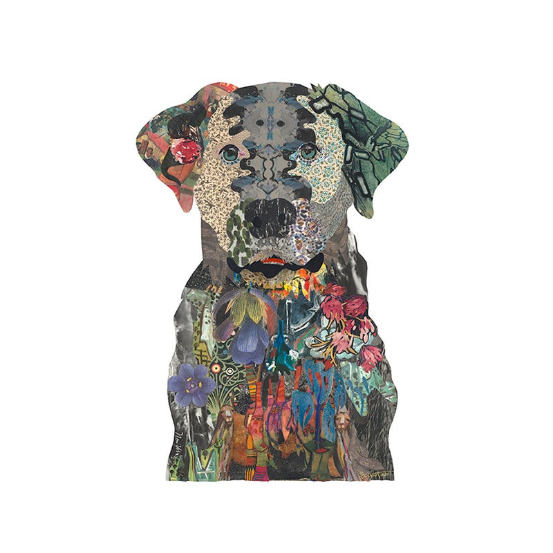 “Black Lab 5” Archival Print