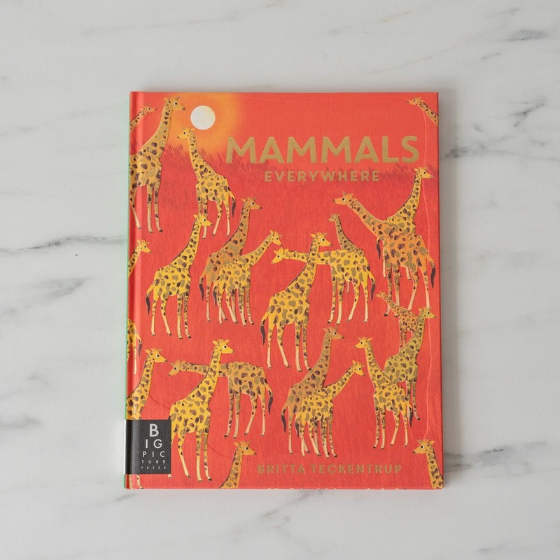 “Mammals Everywhere” by Camilla de la Bedoyere