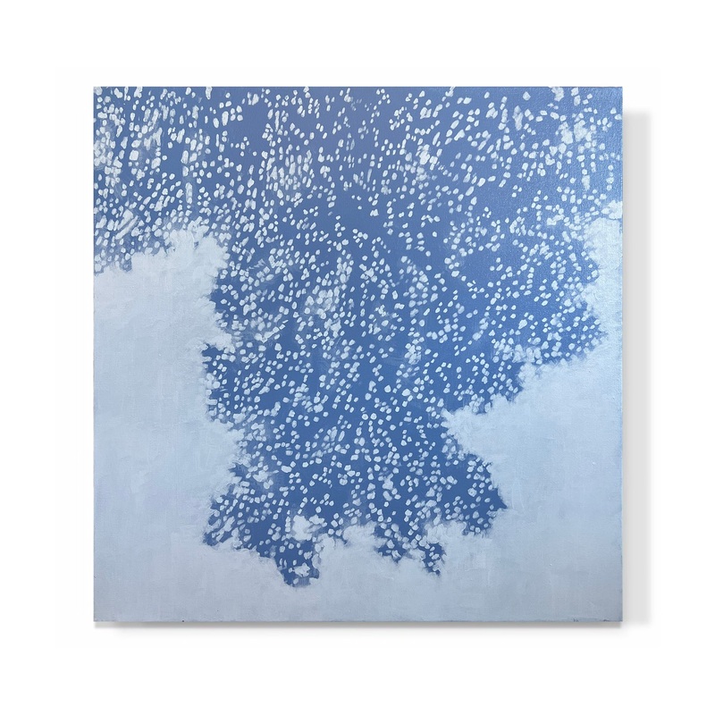 “Small Canopy X”