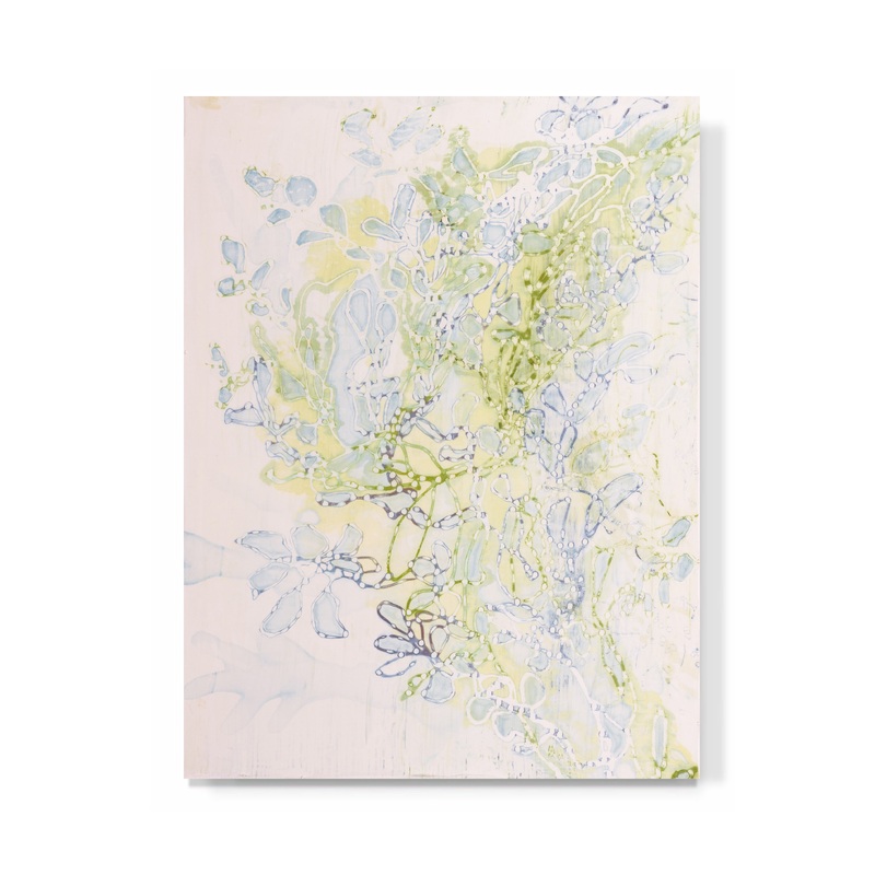 “Kelp VI”
