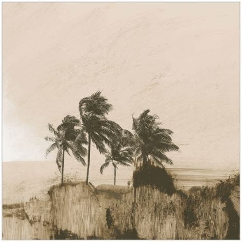 Rocky Palms