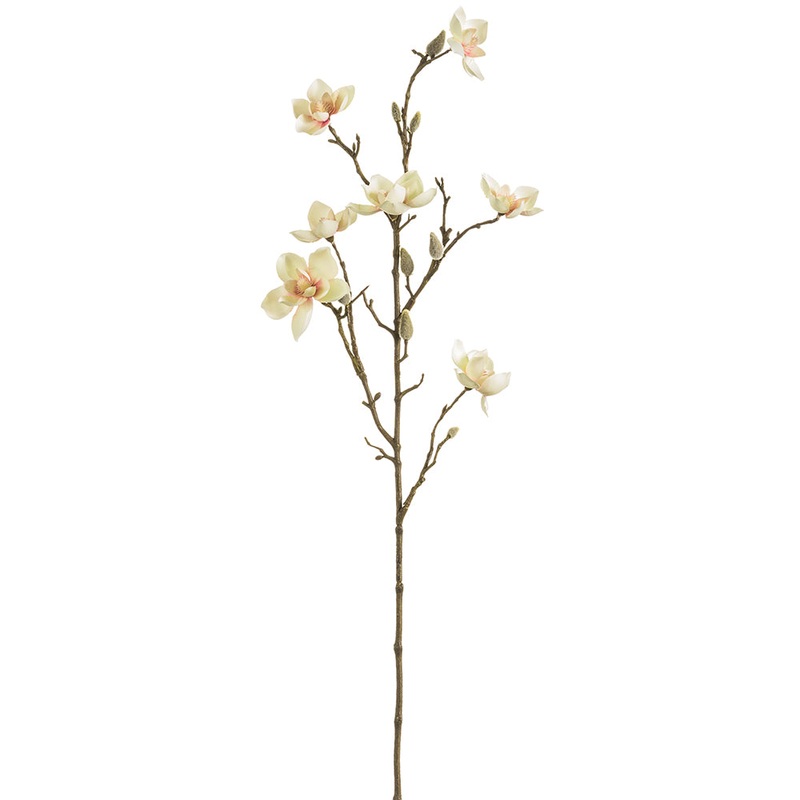 Butterfly Magnolia Spray