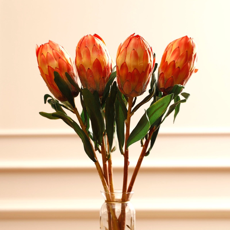 Queen Protea Orange Flower Bud
