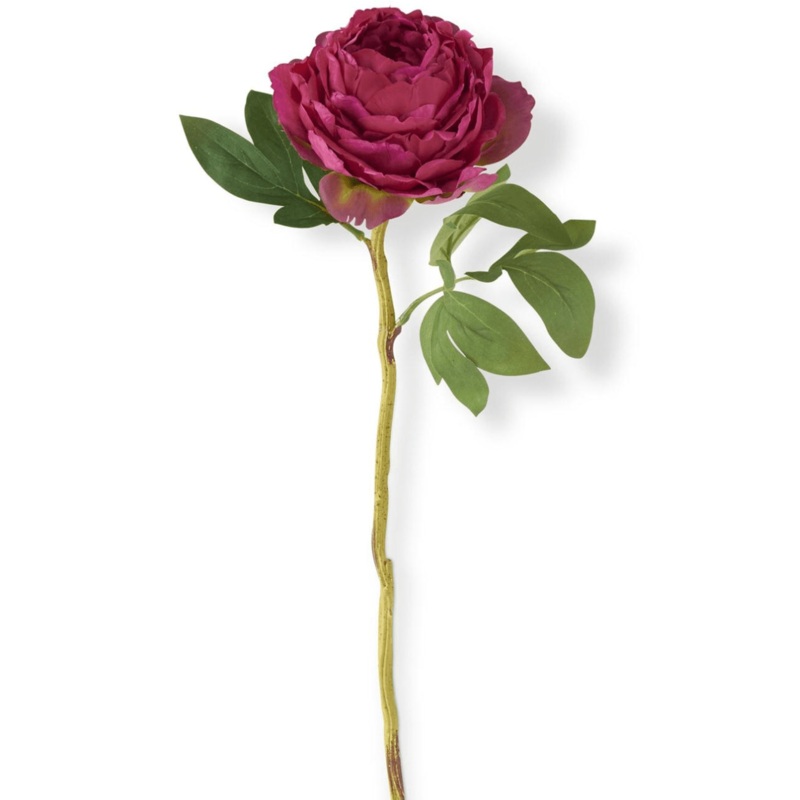 27″ Peony Stem