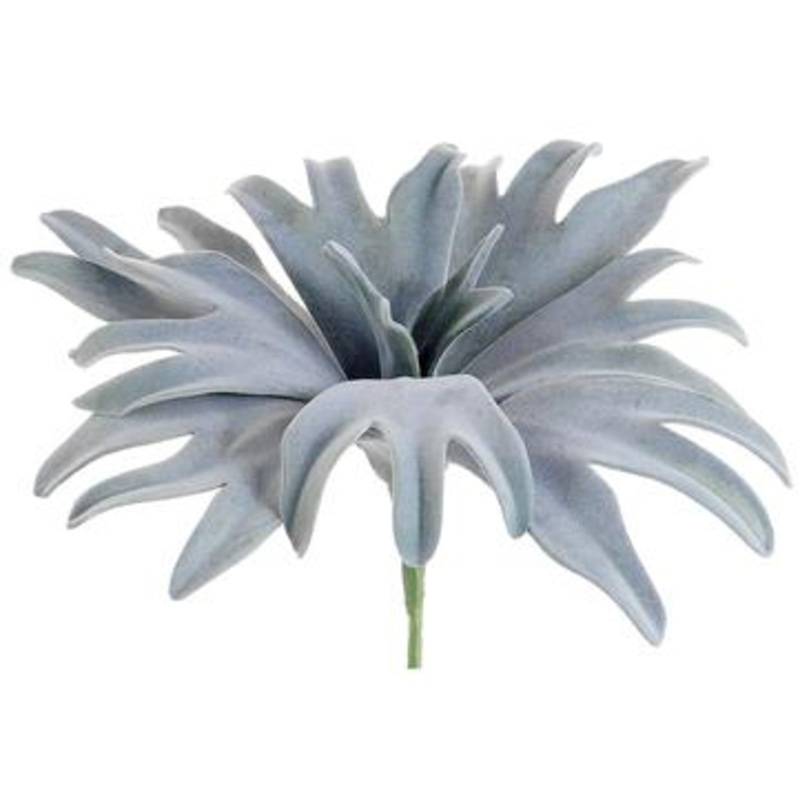 13″ Staghorn Plant Green