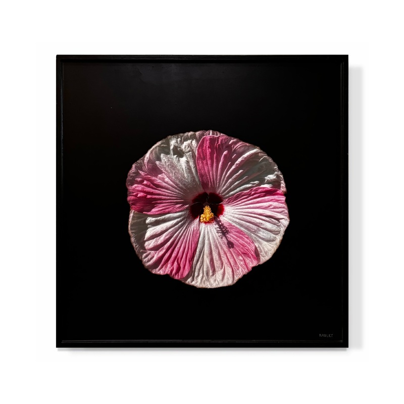 “Flower”