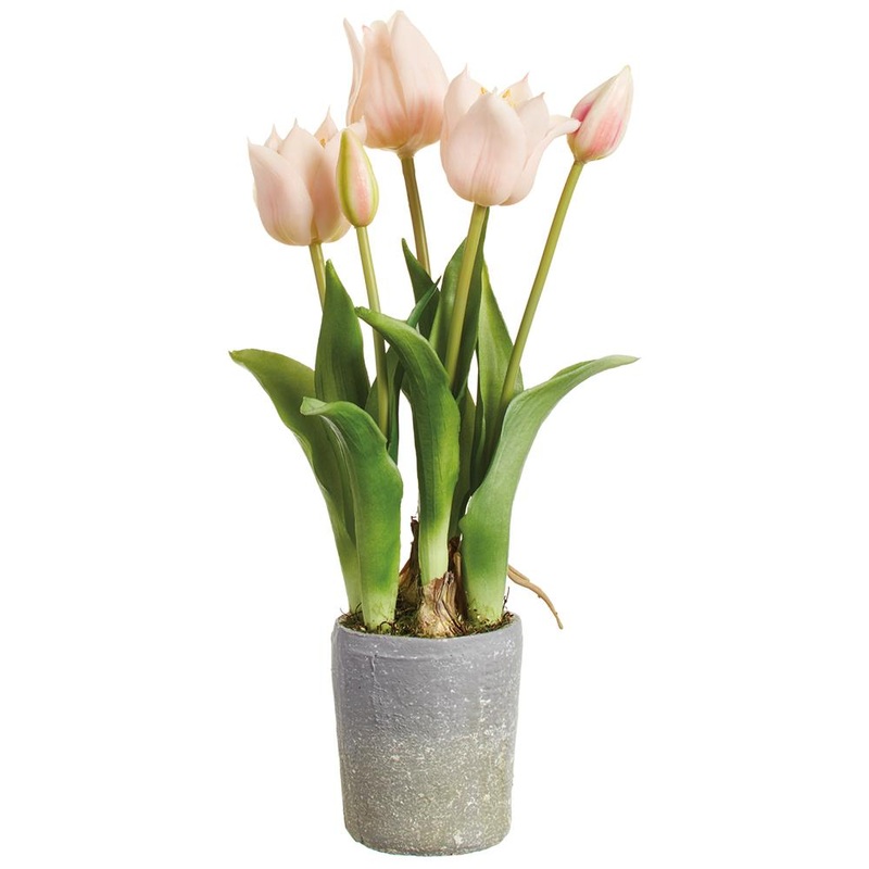 15.5″ Tulip in Mgo Planter Pink