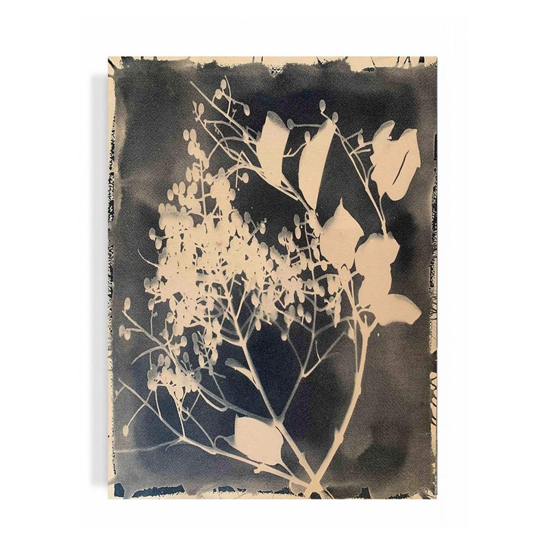 “Crepe Myrtle”