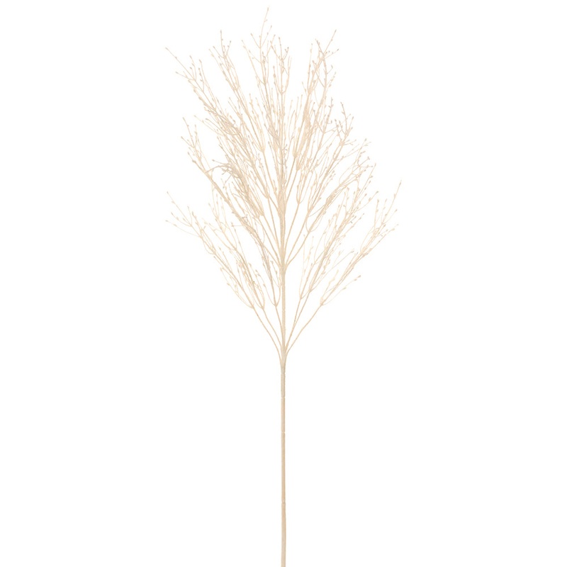 Fountain Grass – Ivory