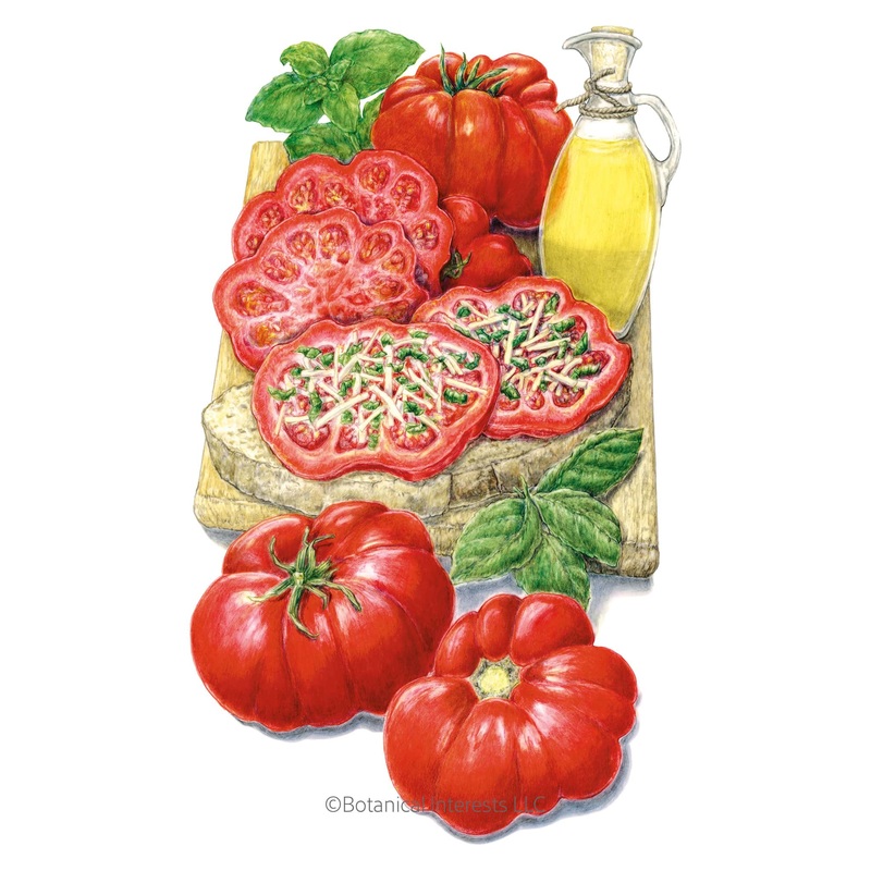 Costoluto Genovese Pole Tomato Seeds
