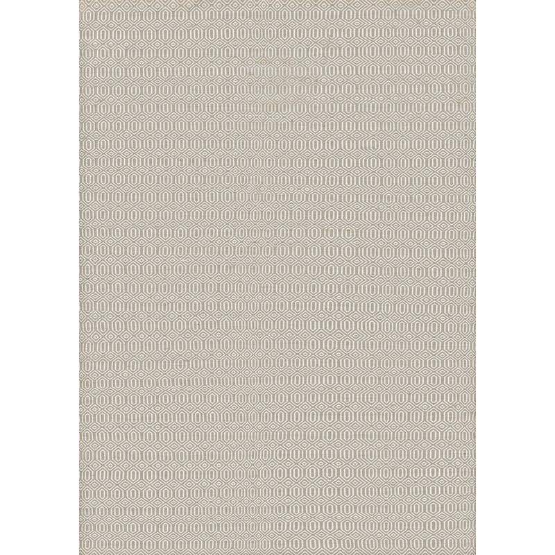 COTTAGES 4960 HAND-WOVEN Synthetic Blend Indoor/Outdoor  Area Rug By Couristan Rugs