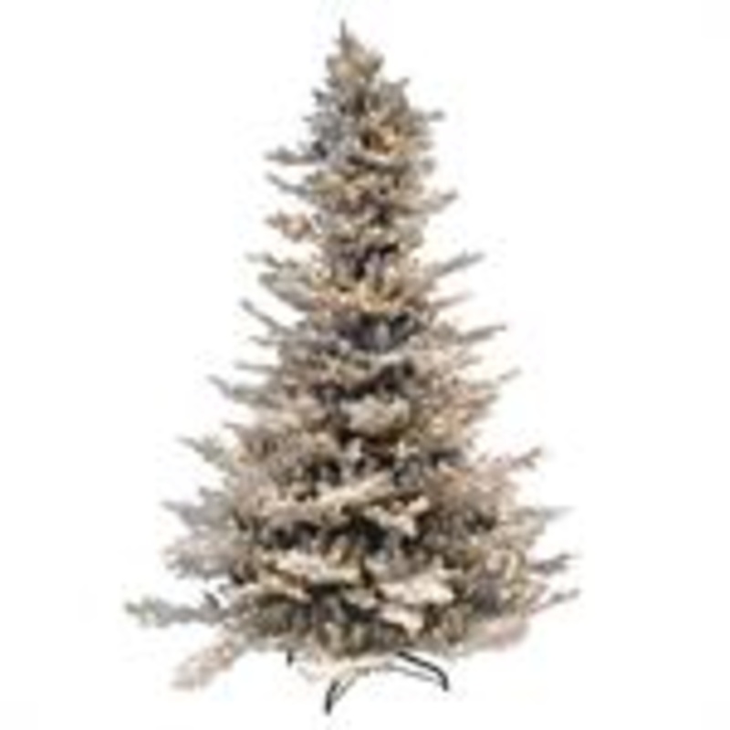 7.5′ Fir Tree