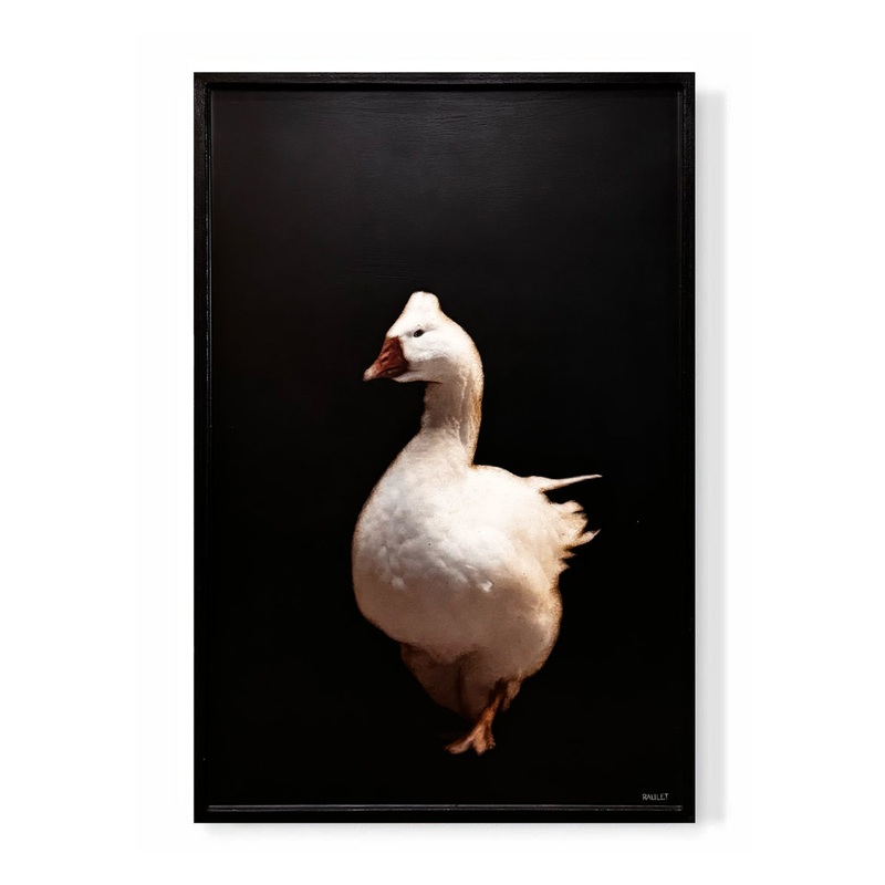 “Goose 2”