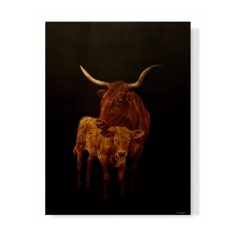 “Cows”