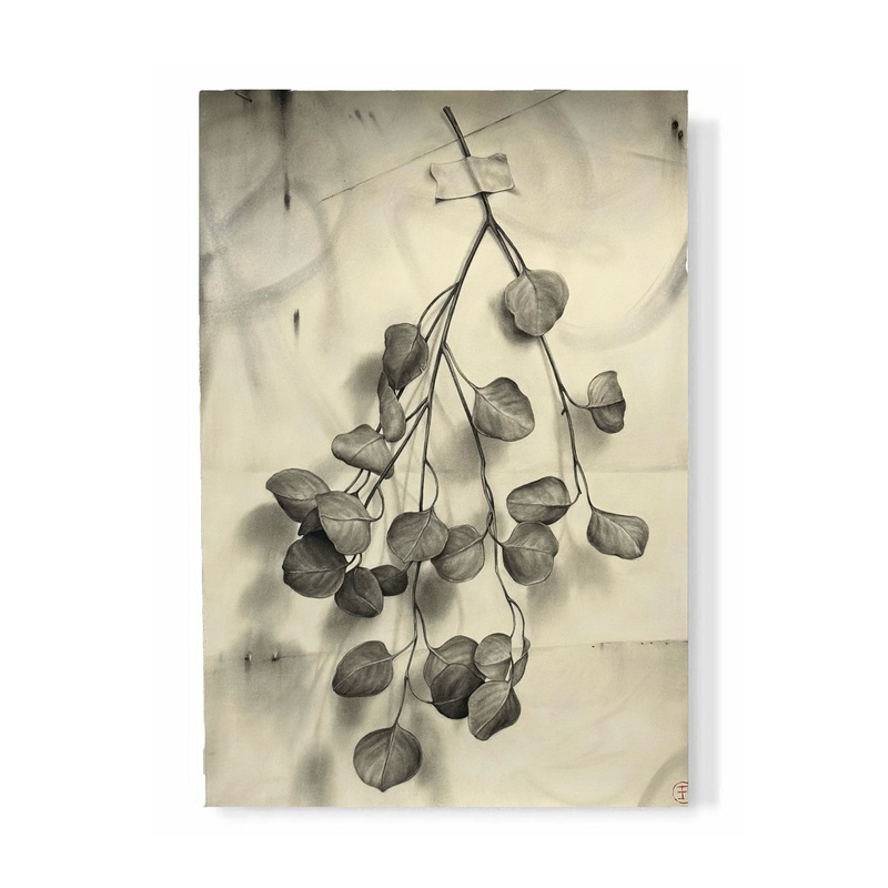 “Eucalyptus Branch”
