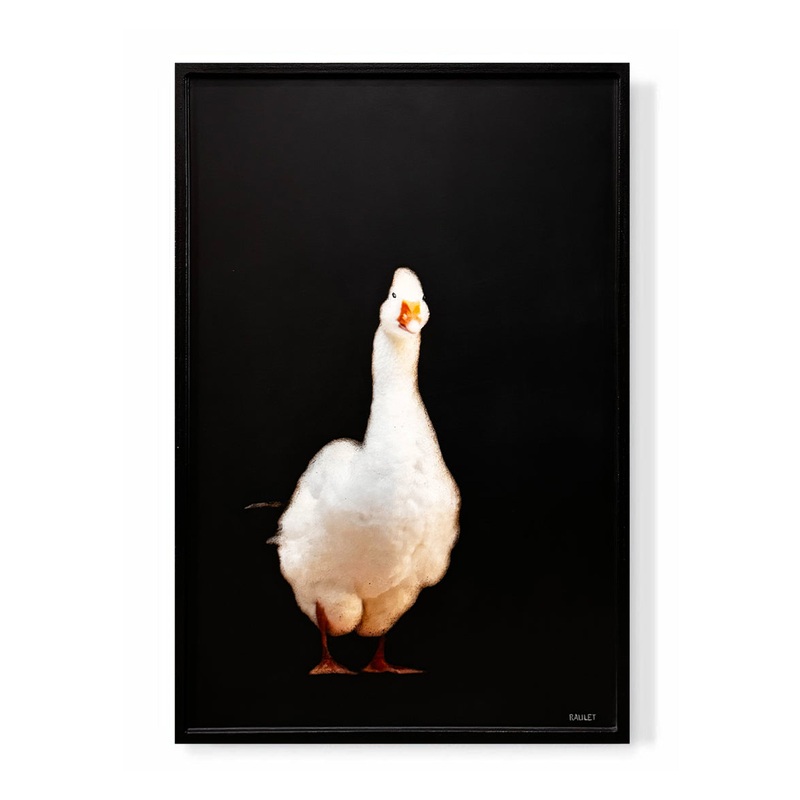 “Goose 1”