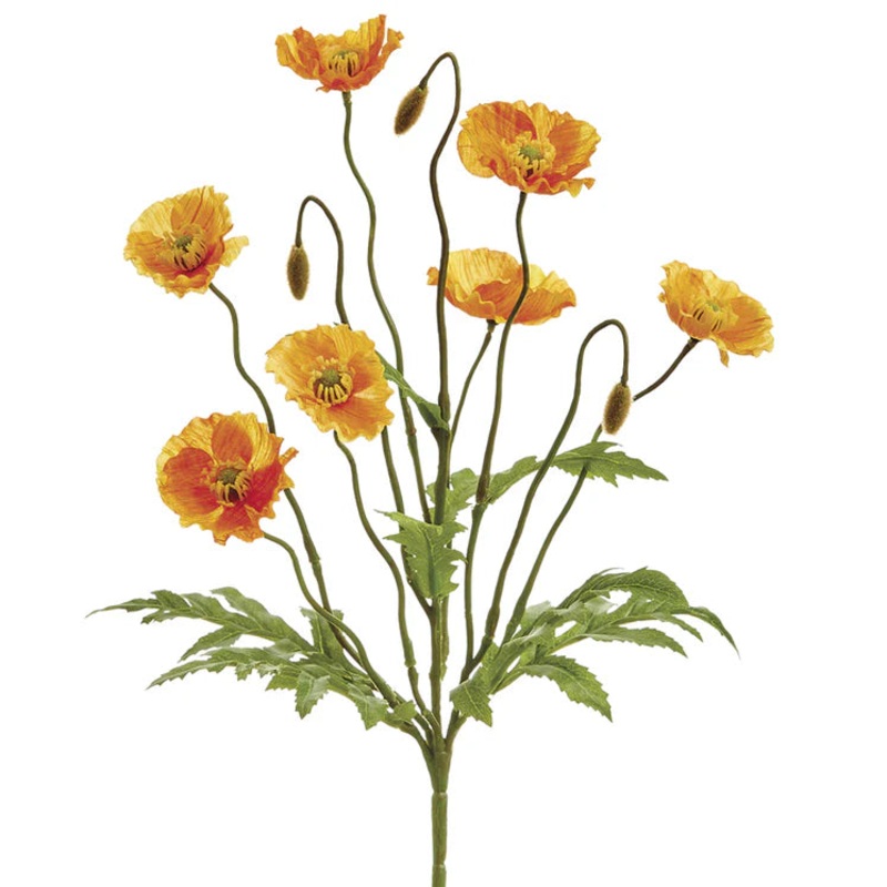 15″ Poppy Plant