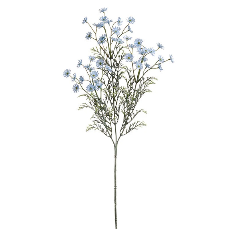 26″ Marguerite Daisy Stem