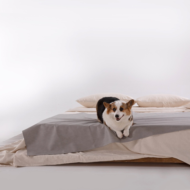 Waterproof Coverlet – Scratch Resistant for Dogs/Cats Family