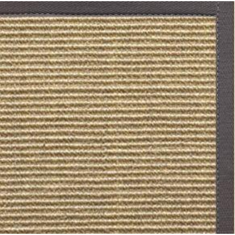Bone Sisal Rug with Quarry Cotton Border