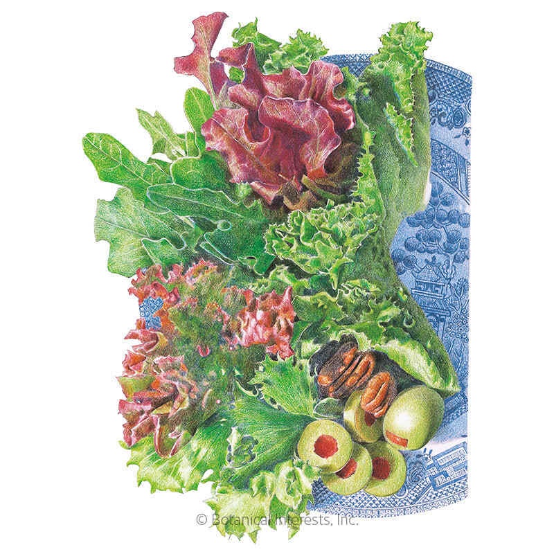Farmer’s Market Blend Mesclun Lettuce Seeds
