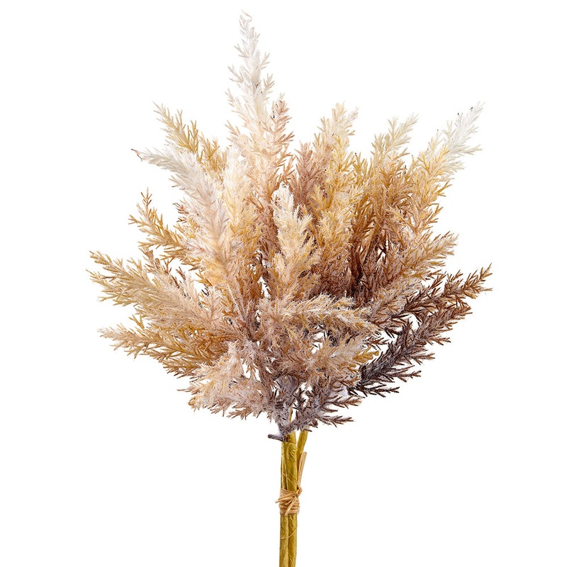 Pampas Grass Bundle – Beige