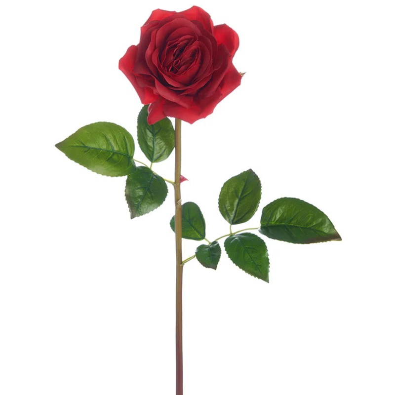 23″ Garden Rose Stem