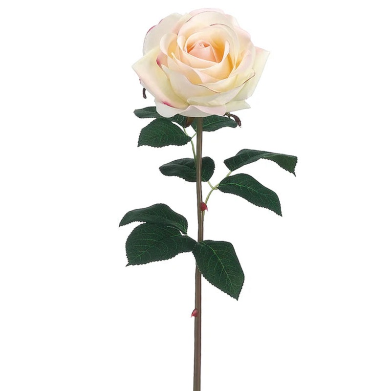 20″ Garden Rose Stem