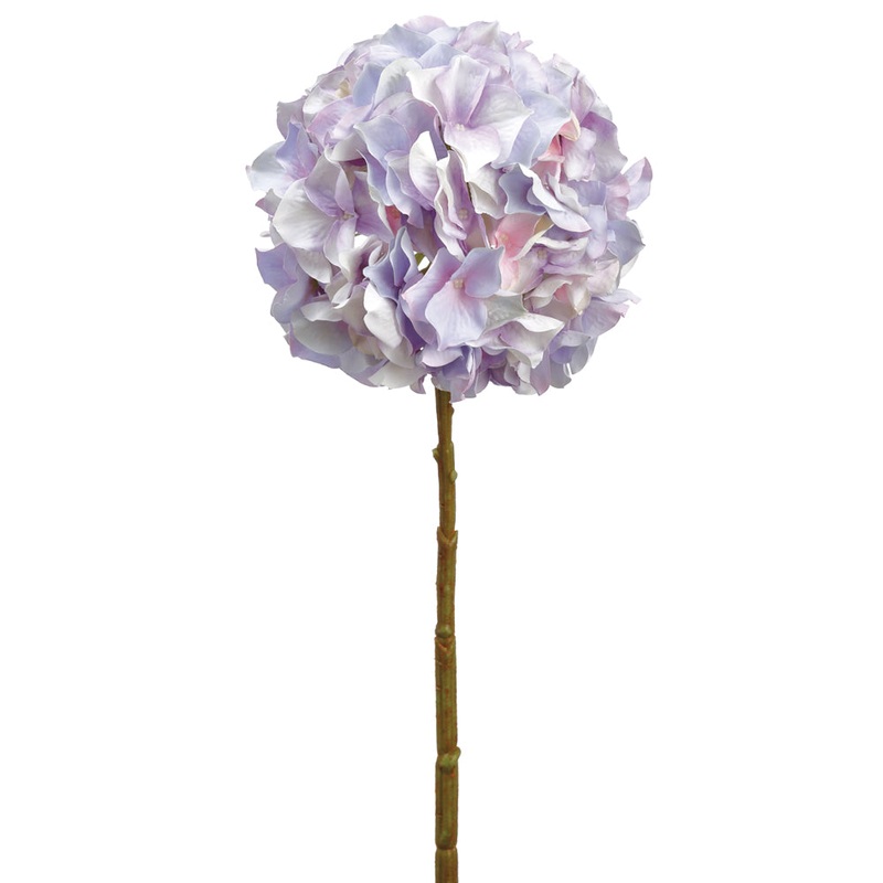 Hydrangea Stem Lavender Cream