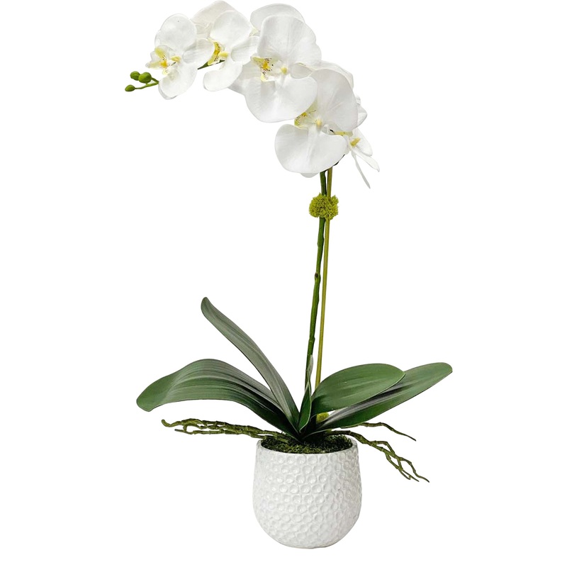 Cami White Orchid – Artificial