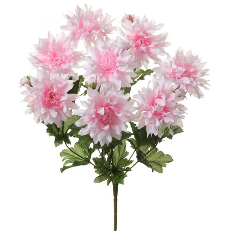 18″ Dahlia Bush