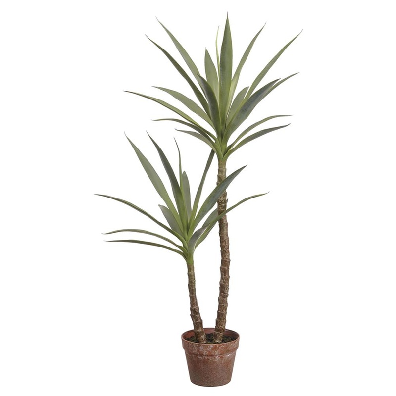 44″ Yucca Tree in Pot