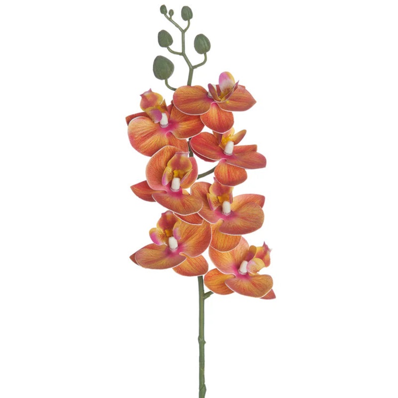 25″ Phalaenopsis Orchid Stem