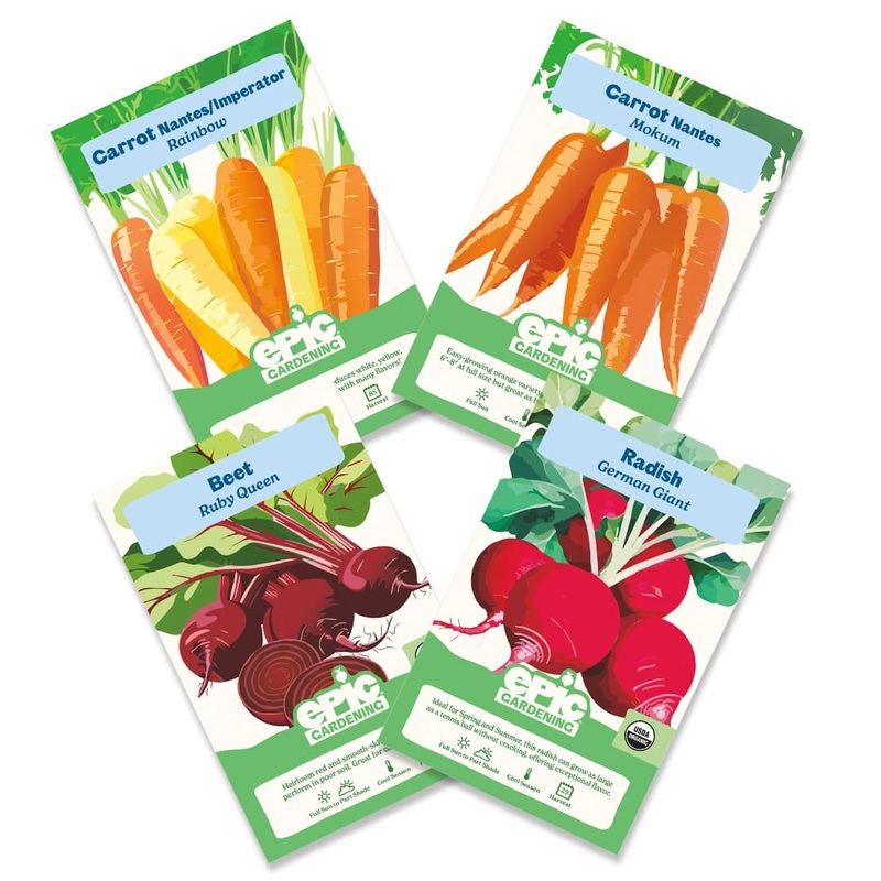 Roots Bundle