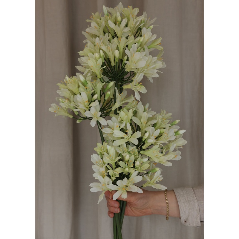 35″ Agapanthus Spray