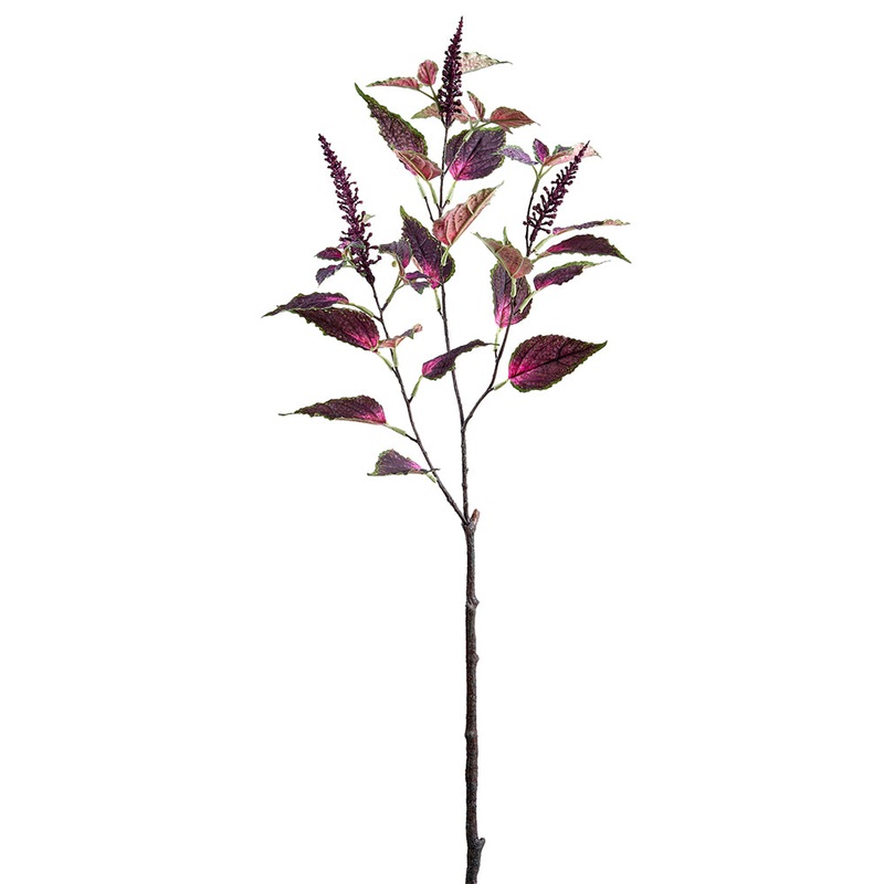 Coleus Spray Purple