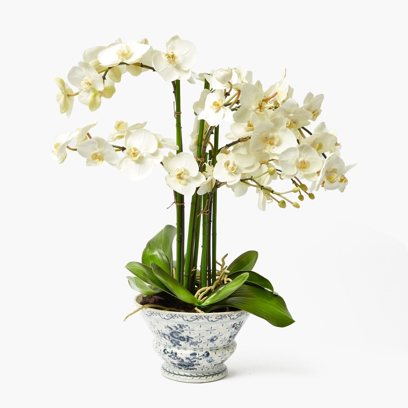 Faux Orchid in Chinoiserie Planter