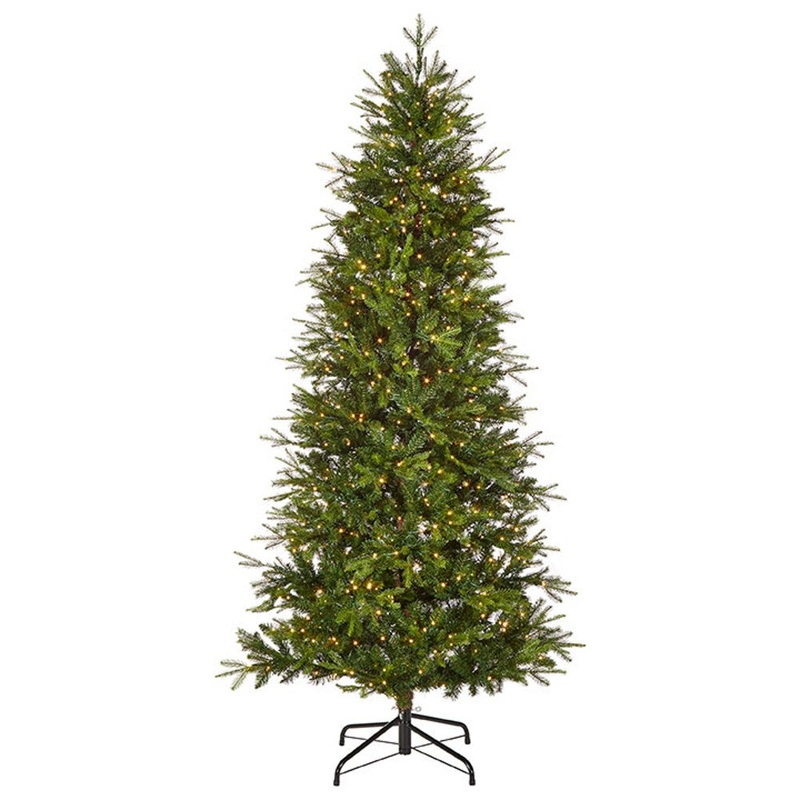 7.5′ Snake Light Green Slim Spruce Tree