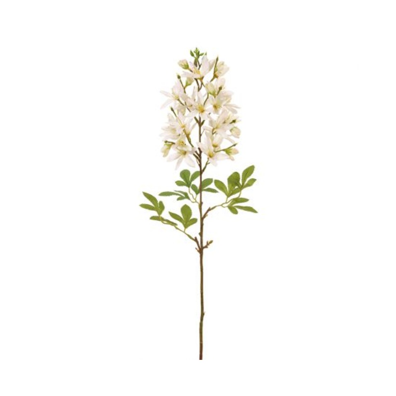24.5″ Cleome Stem  White