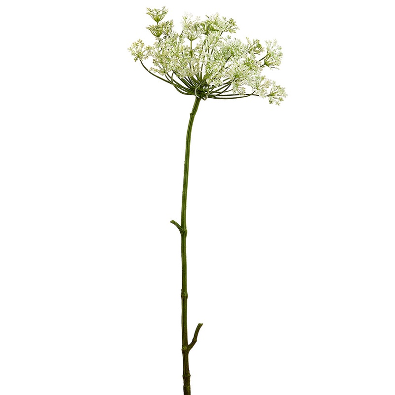 Dill Spray