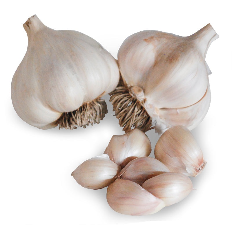 Nootka Rose Softneck Garlic – USDA Certified Organic